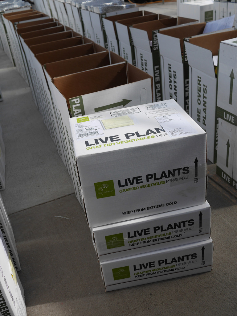 Order High Quality Plants From the Start